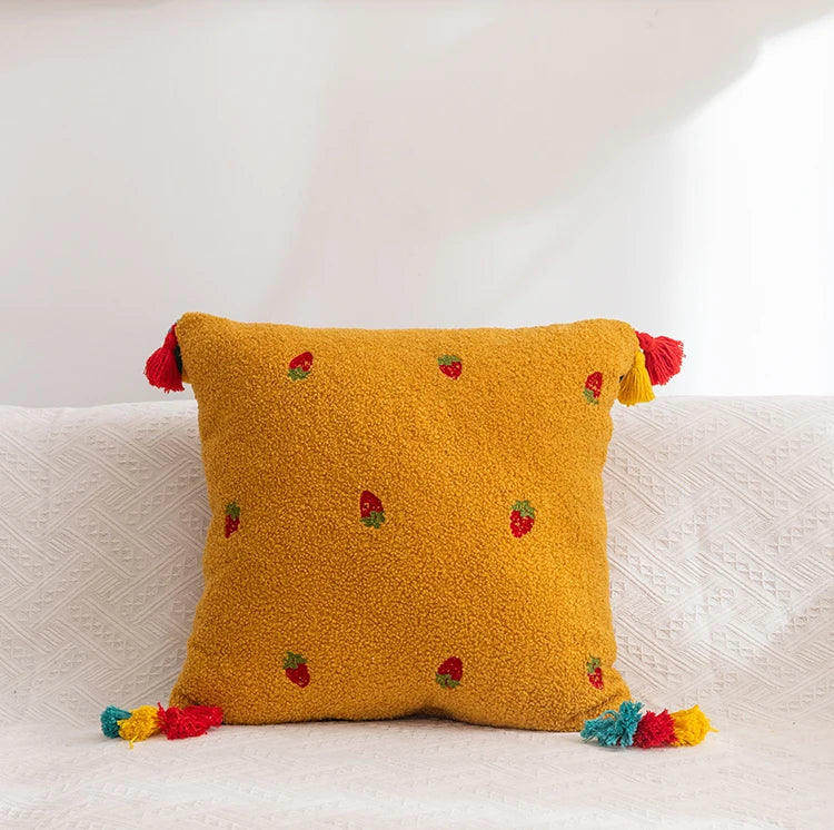 Embroidery Tassel Pillow Covers