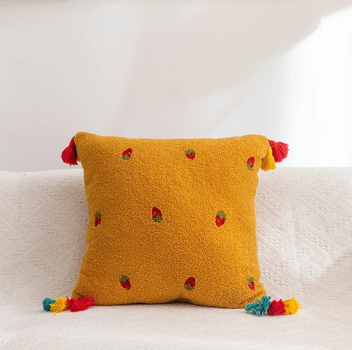 Embroidery Tassel Pillow Covers